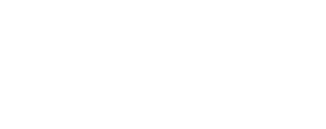 beVault, powered by dFakto